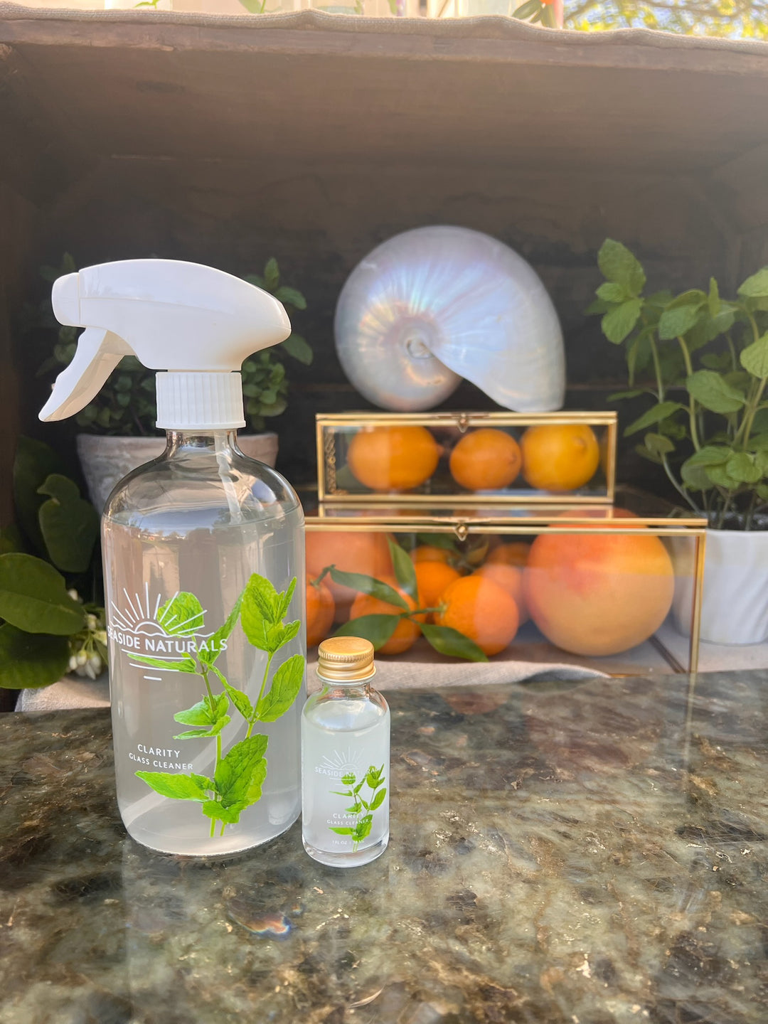 Clarity Setup - Bottle, sprayer and concentrate - Premium Kit from Seaside Naturals - Just $19.95! Shop now at Seaside Naturals