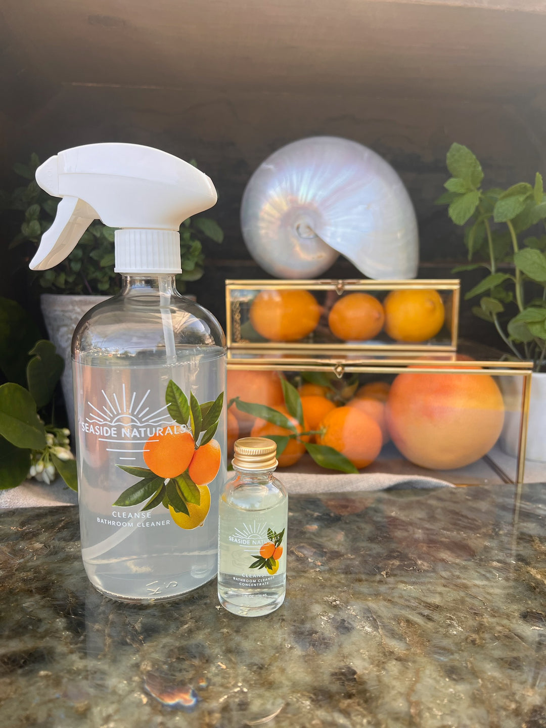 Cleanse Setup - Bottle, sprayer and concentrate - Premium Kit from Seaside Naturals - Just $19.95! Shop now at Seaside Naturals