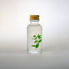 Clarity Concentrate Refill - Seaside Naturals Inc.