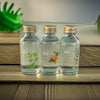 Start Up Kit Refill - Seaside Naturals Inc.